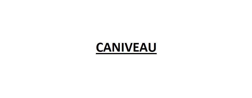 CANIVEAU