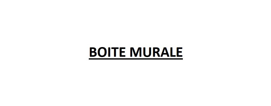 BOITE MURALE