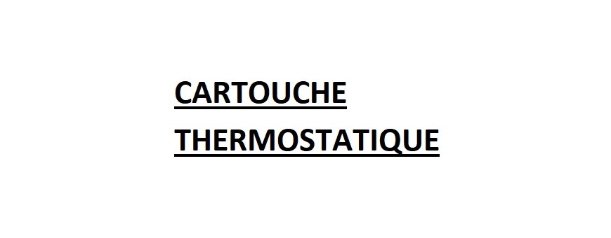 CARTOUCHE THERMOSTATIQUE