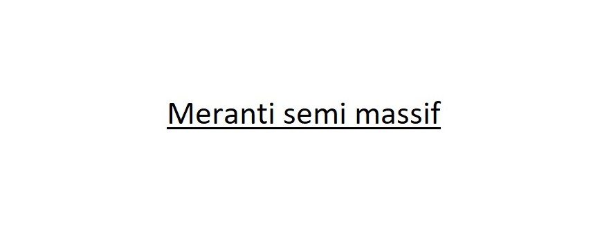 Meranti semi massif